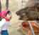 Screaming Contest Thumbnail