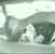 Driving School Thumbnail