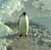 Drunk Penguin Thumbnail